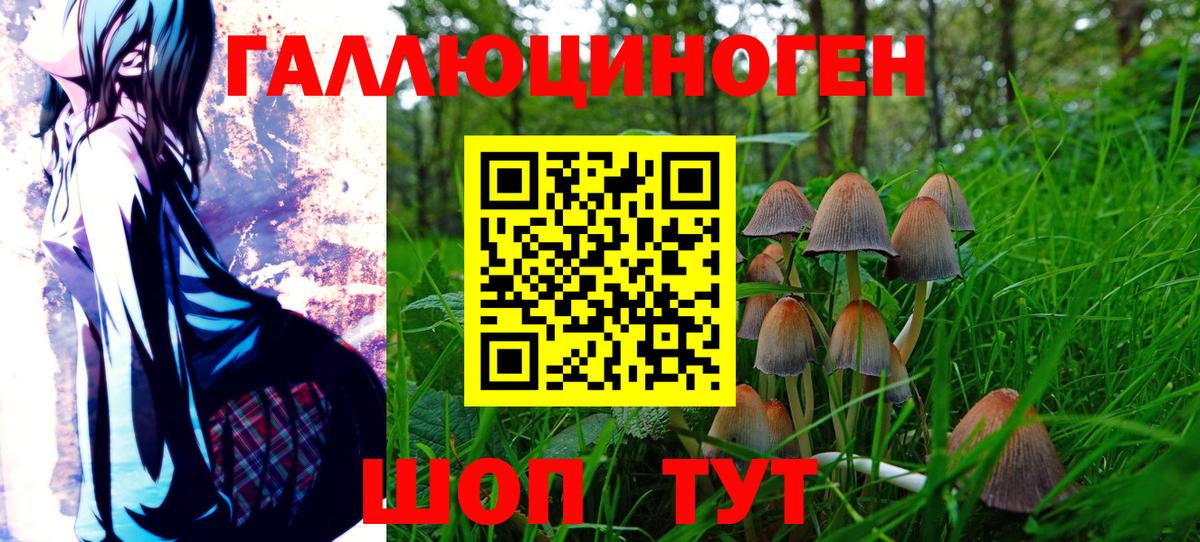 Галлюциногенные грибы MAGIC MUSHROOMS Киров